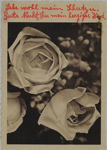 Liebespostkarte mit Rosen